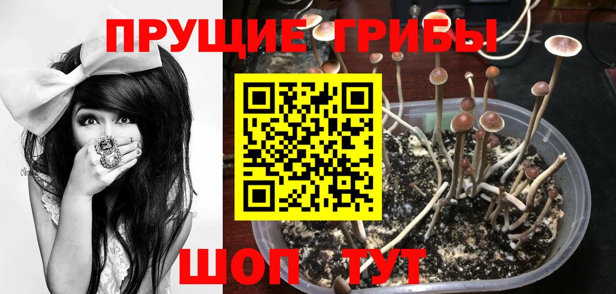 Галлюциногенные грибы мухоморы  Вход с VPN  Галлюциногенные грибы мухоморы  Кудымкар 