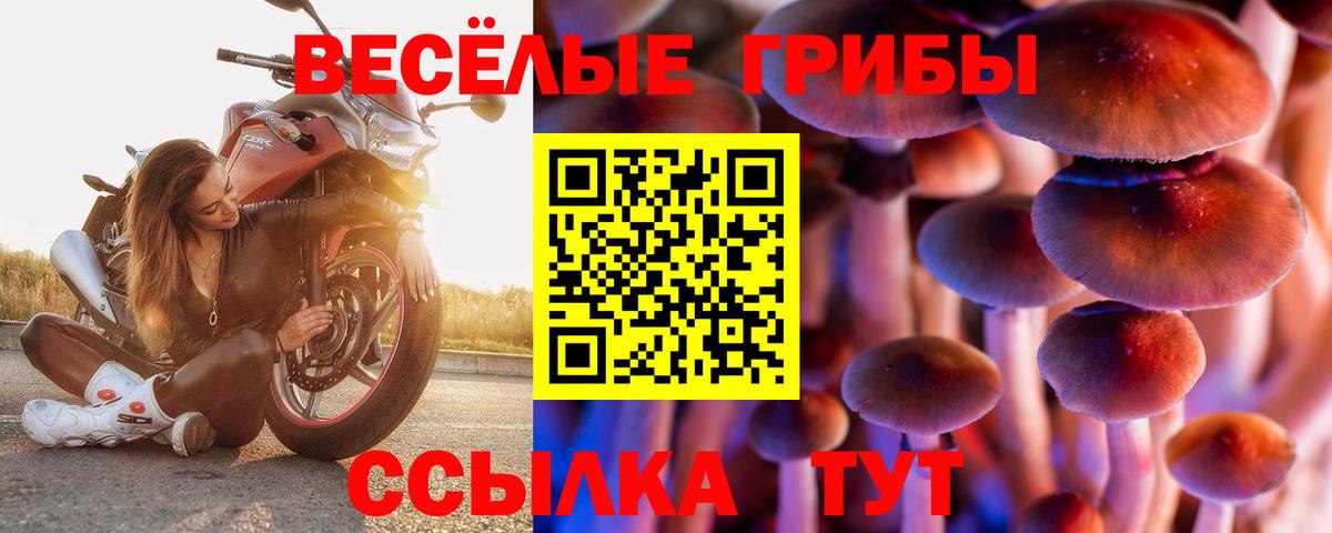 Псилоцибиновые грибы мухоморы Кудымкар